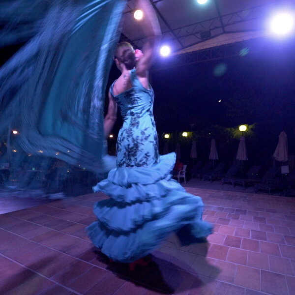 actuaciones en vivo hotel girasol animacion hotel girasol